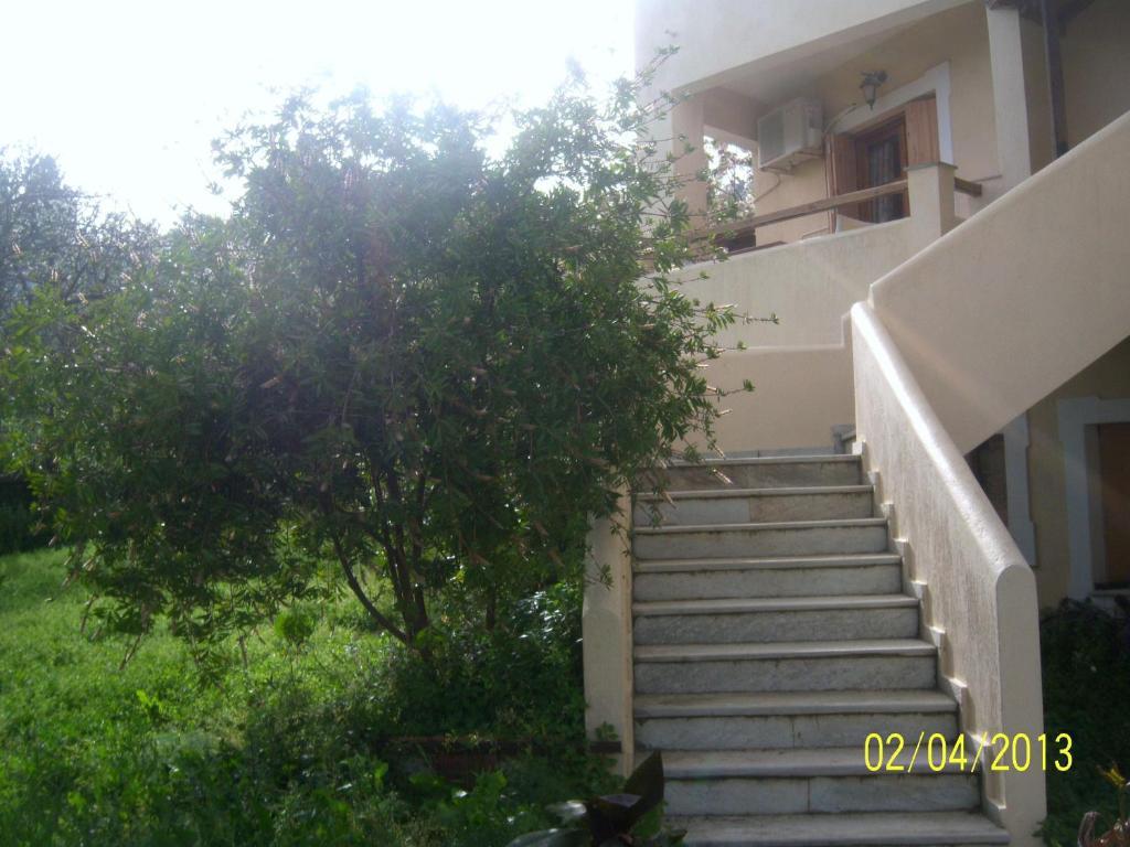 Yellow Stella Studios Σκόπελος Εξωτερικό φωτογραφία